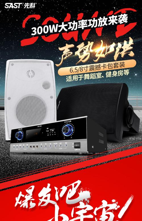 先科音响功放套装壁挂工厂会议室设备健身房舞蹈室餐厅店铺壁挂式